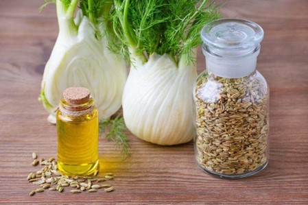 benefits of fennel Oil Content In telon oil